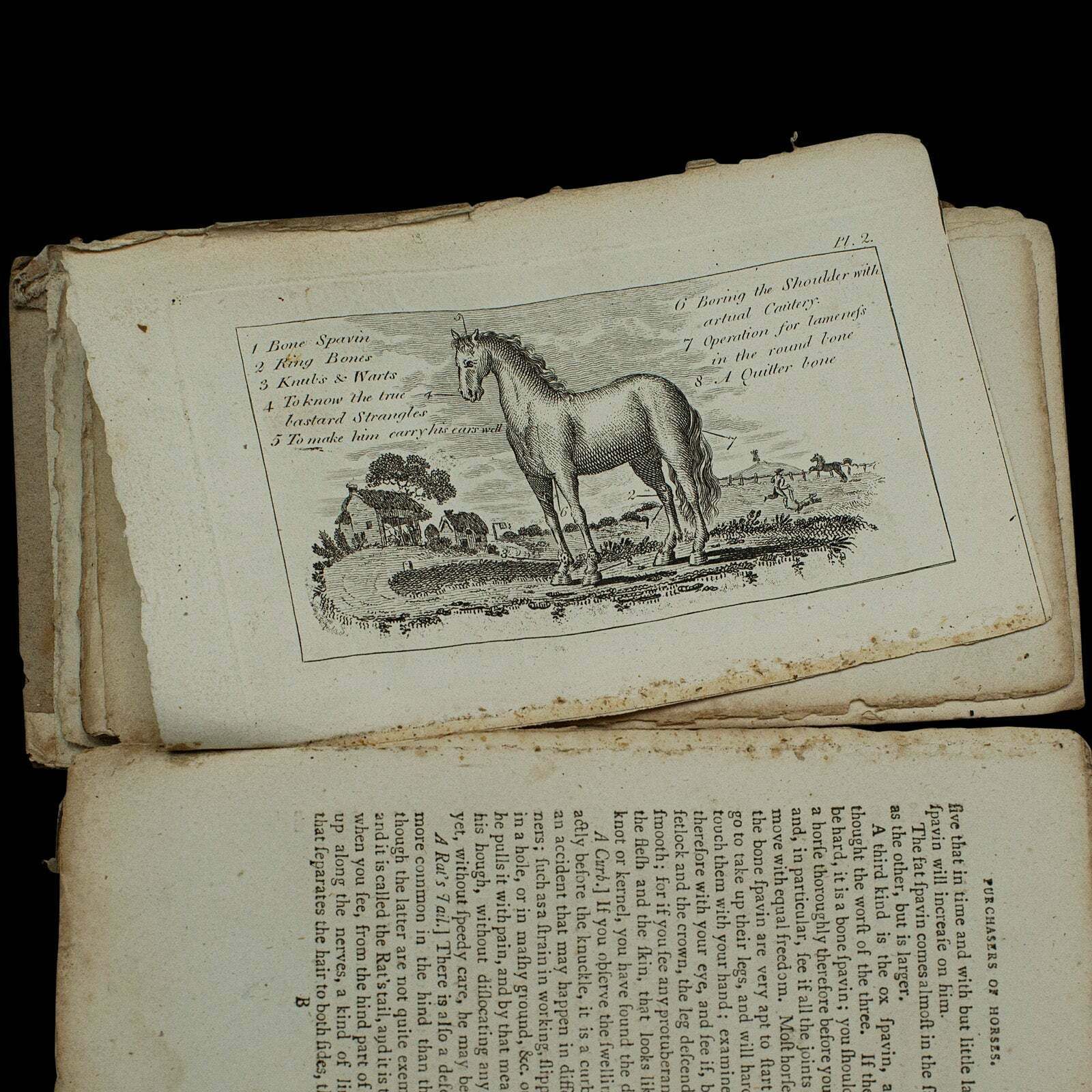 Antique Book, Compendium Of Farriery, English, Georgian, Equestrian, London 1796 photo 295.0