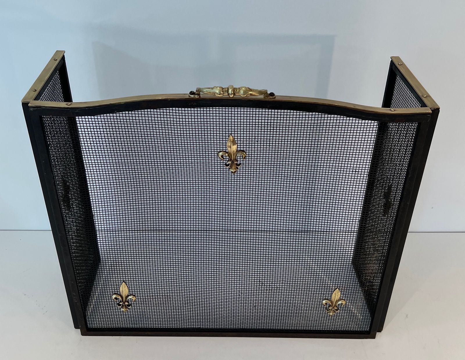 Neoclassical Style Firewall In Steel, Brass And Mesh With Fleurs De Lys Decor photo Home Fixtures