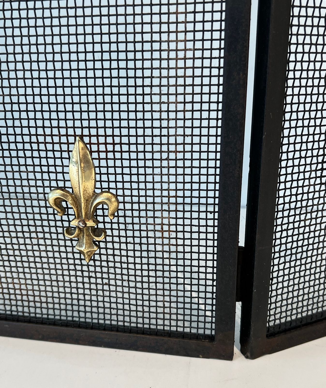Home Fixtures Neoclassical Style Firewall In Steel, Brass And Mesh With Fleurs De Lys Decor photo