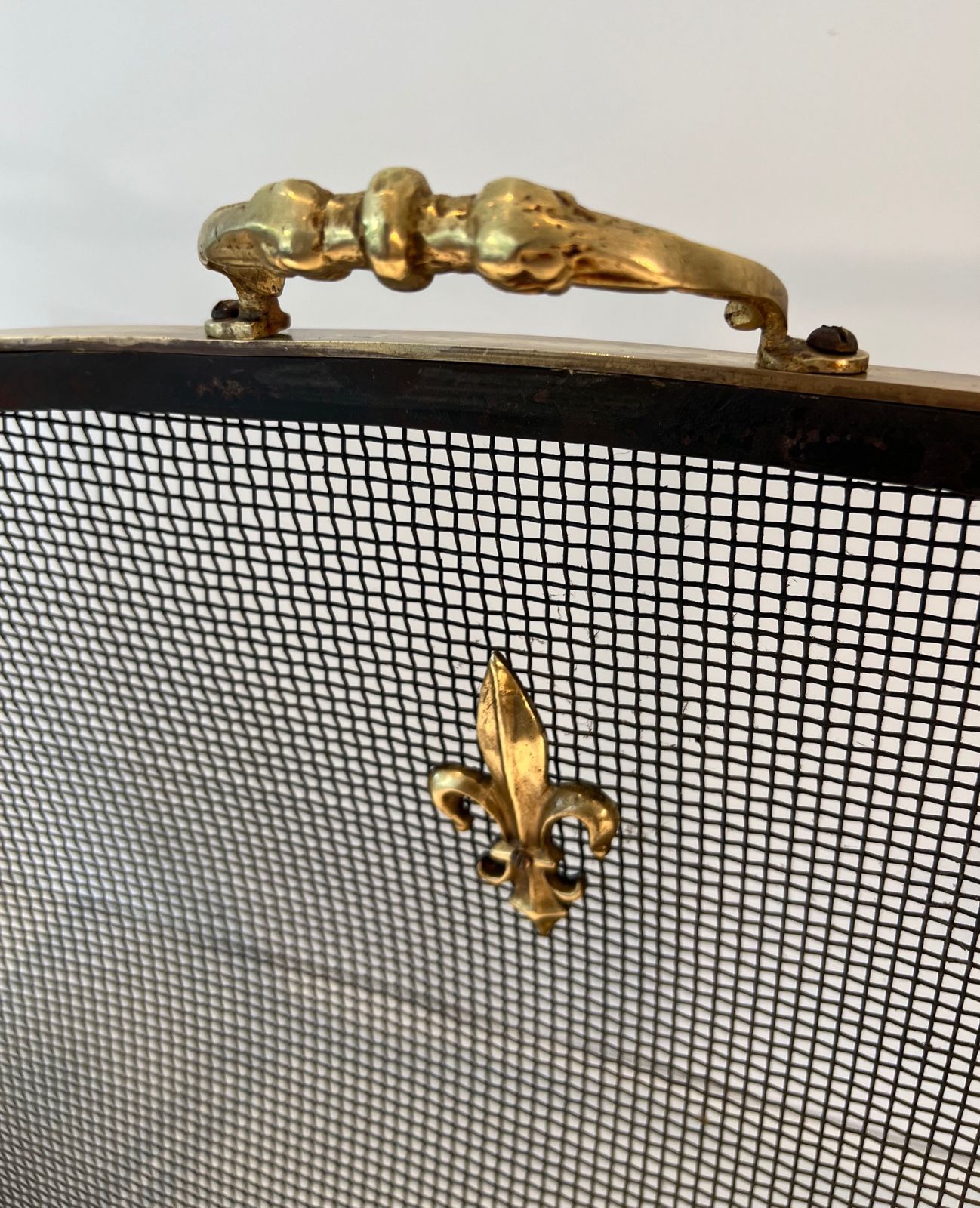 photo buy Neoclassical Style Firewall In Steel, Brass And Mesh With Fleurs De Lys Decor