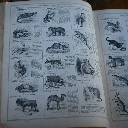 Antique 1861 Noah Webster American Dictionary The English Language Leather Book photo Home Decor