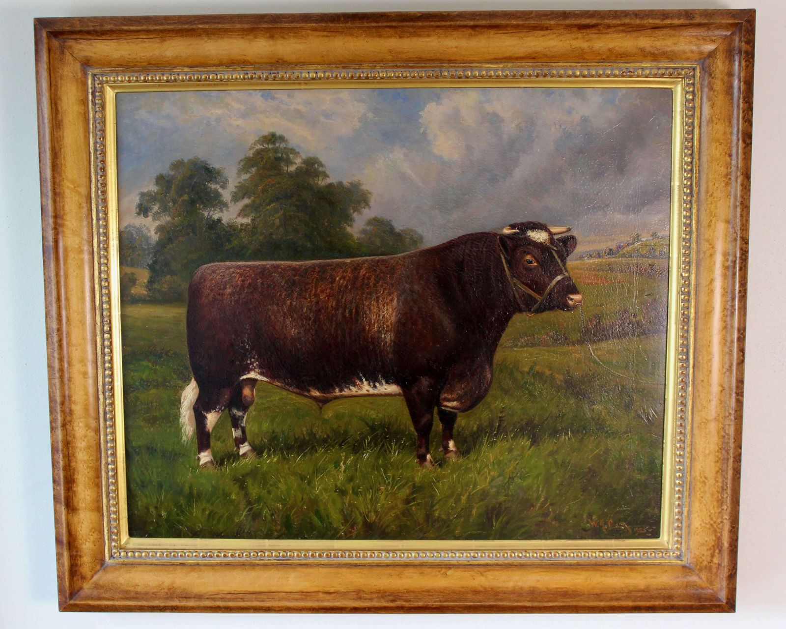 Shorthorn Bull Oil Painting: Castleton Style photo furniture