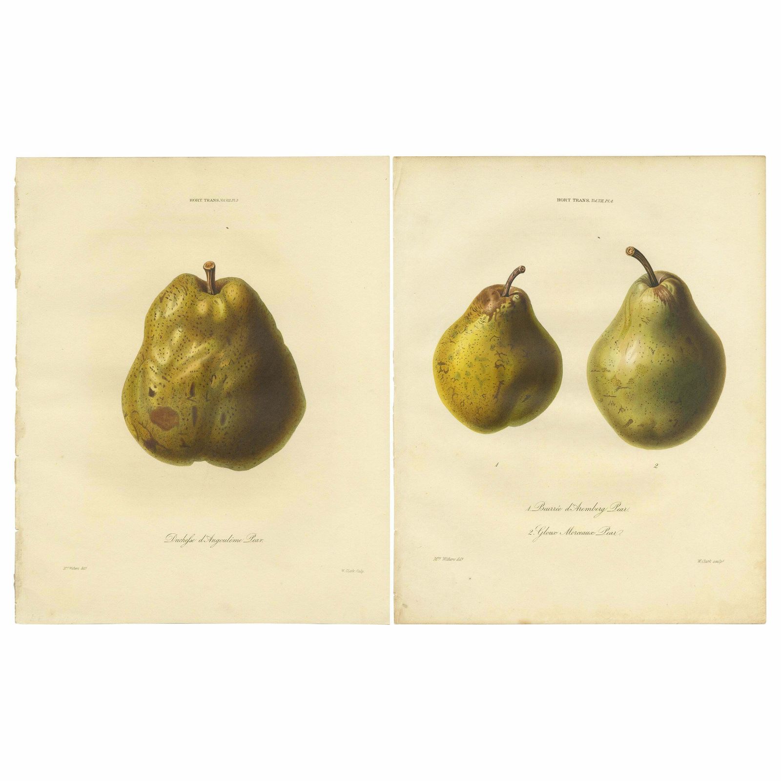 Set Of 2 Antique Prints Of The Duchesse D'angouleme Pear And Others