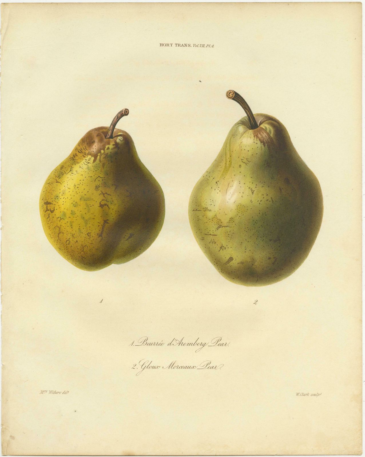 Set Of 2 Antique Prints Of The Duchesse D'angouleme Pear And Others photo for sale