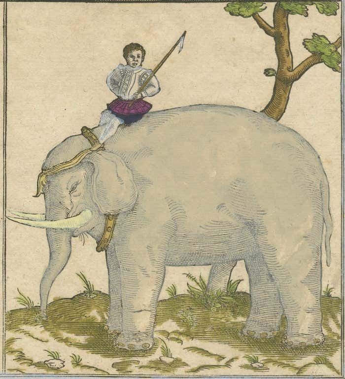 Renaissance Mapping Of Sumatra: Featuring Singapore In Münster’s Woodcut, C.1590 photo 1580.0
