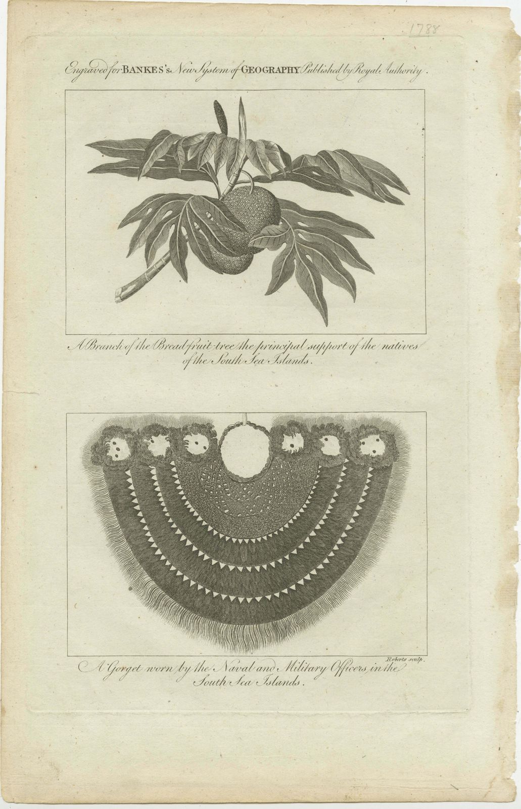 The Breadfruit Tree And Gorget: Symbols Of Life And Leadership In The Pacific photo furniture