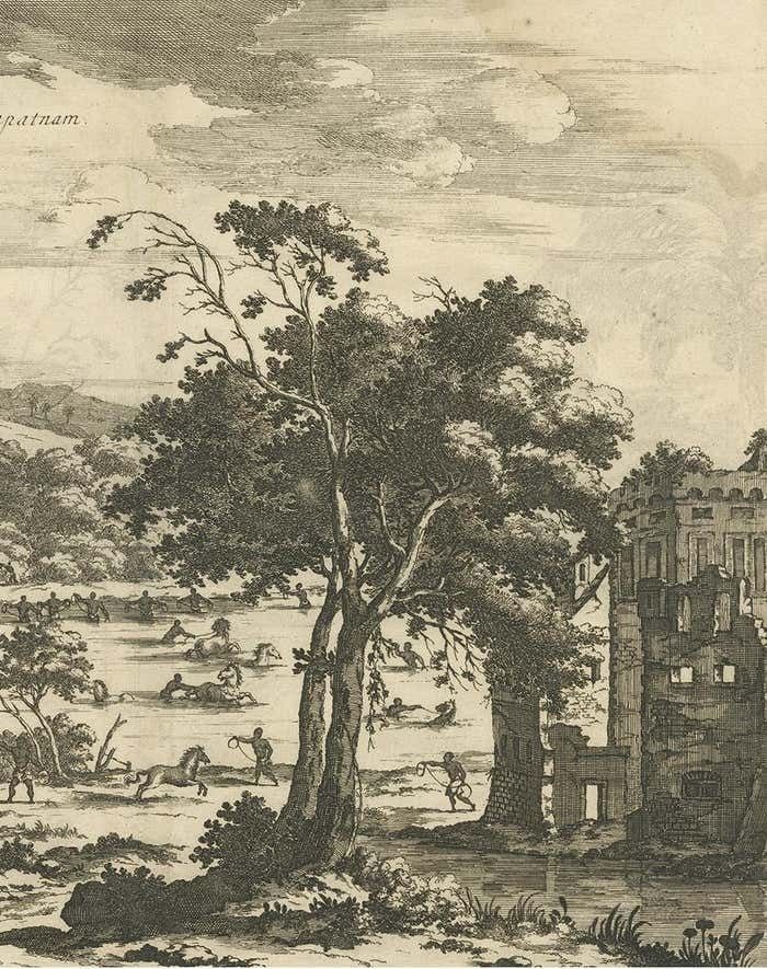 Antique Print Of Horse Catching In Ceylon/Sri Lanka By P. Baldaeus (1672) photo Art