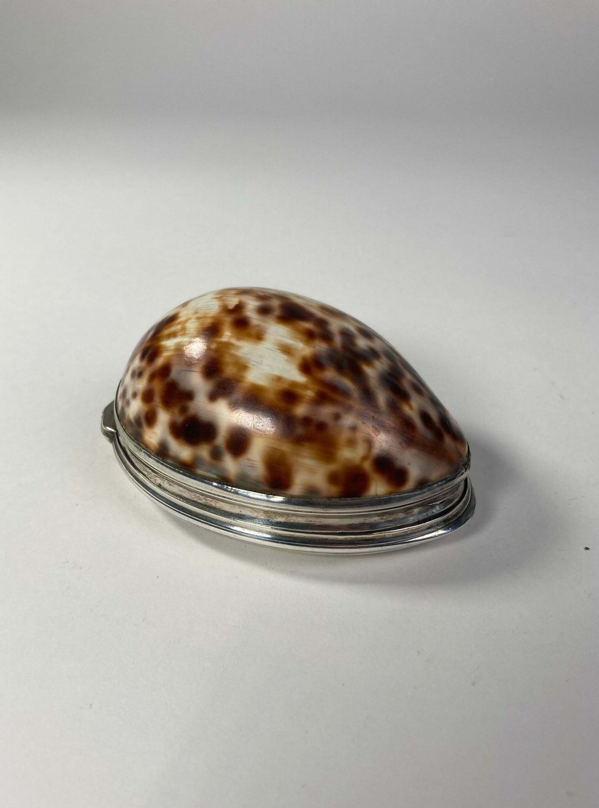 Aeneas Ryan Silver Cowrie Shell Snuff Box