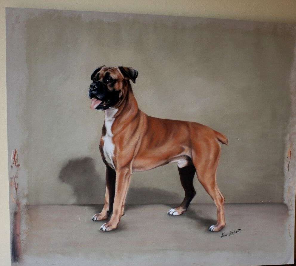 Boxer Dog Pastel Painting By Karen Herbert Animal Artist photo vintage