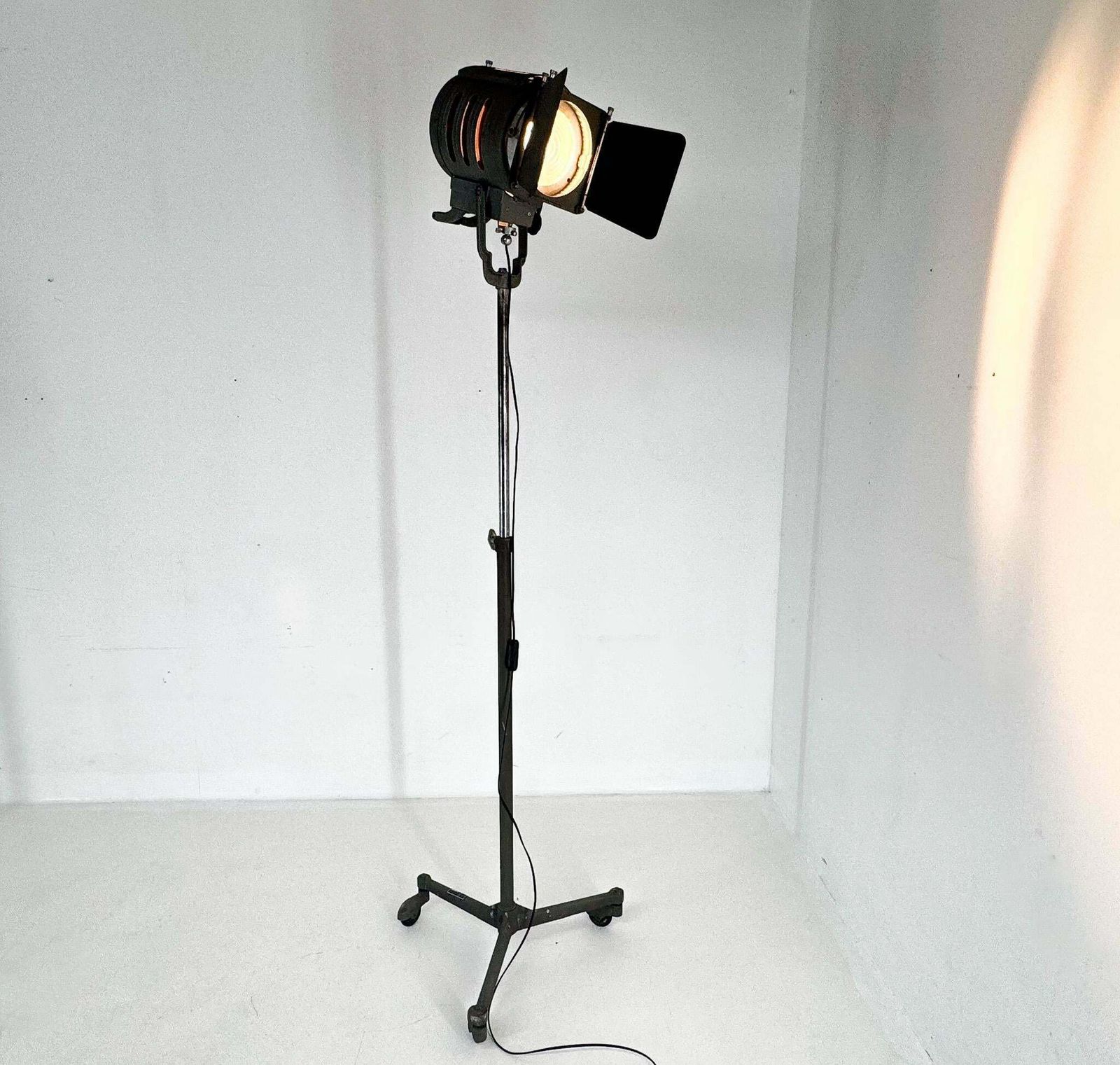 Mid Century Italian Cinema Floor Lamp From Ing. S. Marcucci Srl. Coemar, 1950s photo for sale