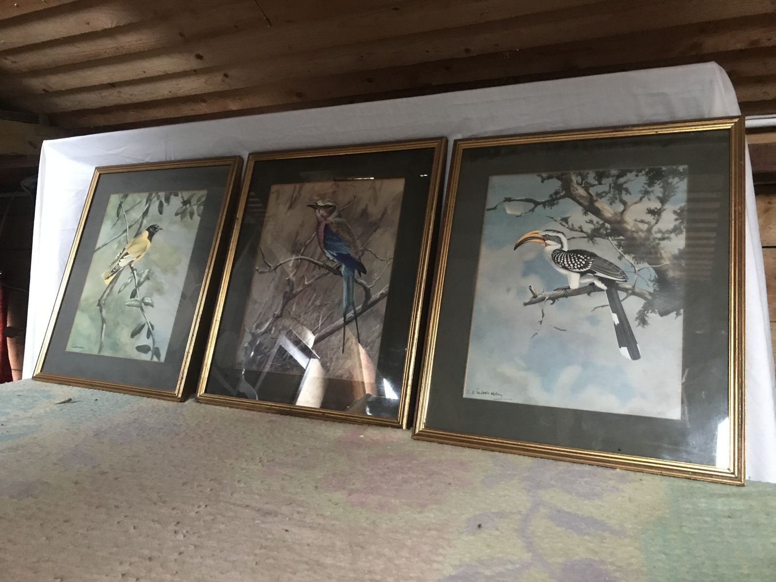 Chloe Elizabeth Talbot Kelly Watercolours Of Birds ( Very Rare ). photo furniture