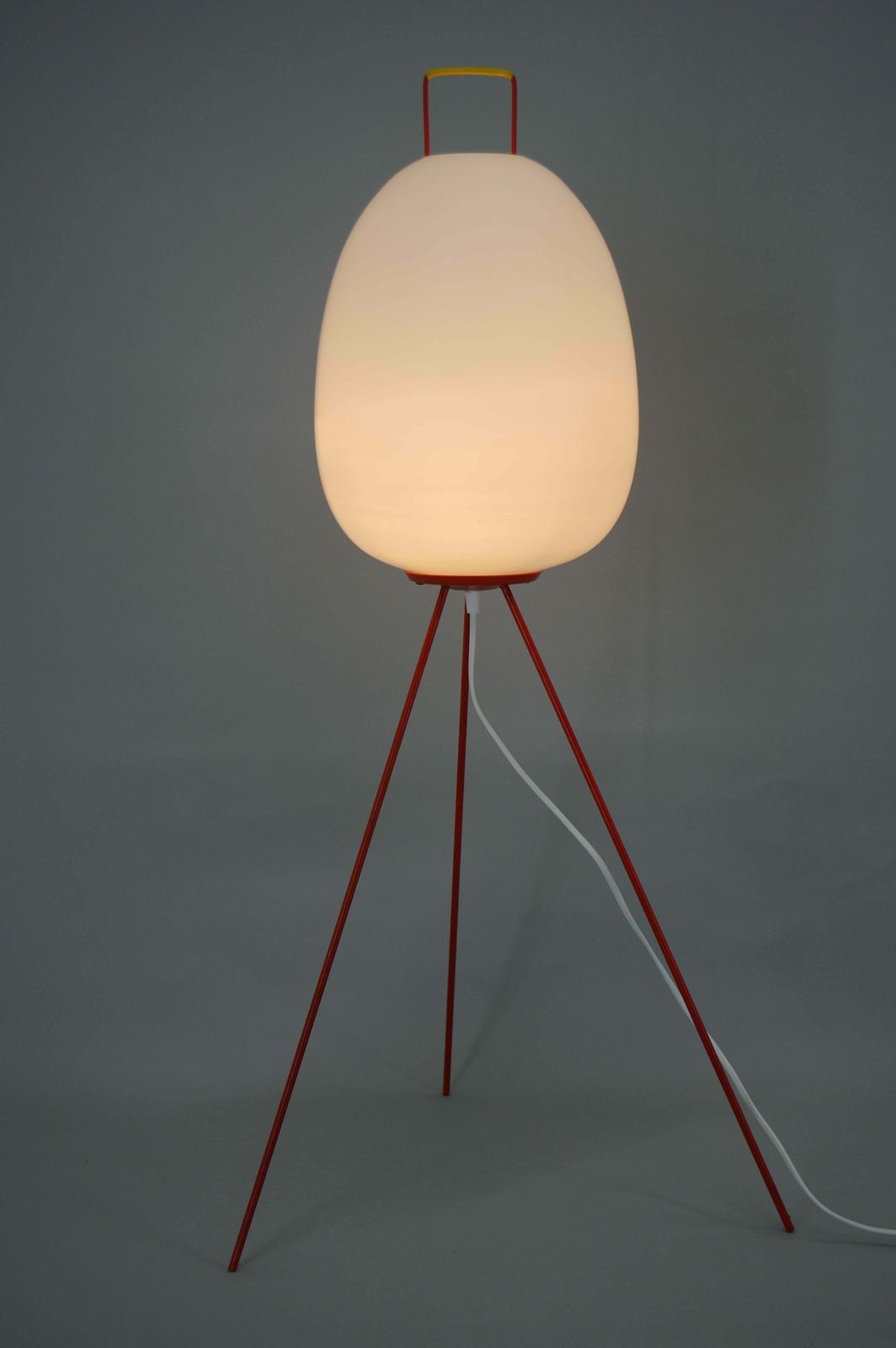 Very Rare Egg Floor Lamp By Napako, 1960s photo 1384.0
