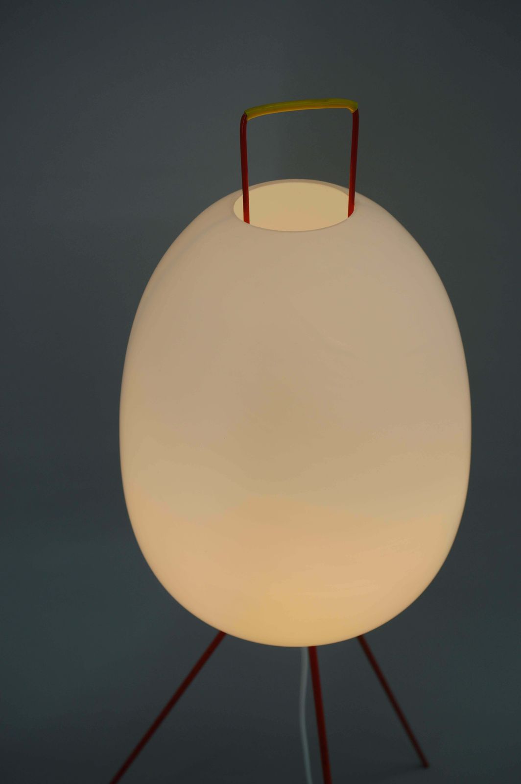 Very Rare Egg Floor Lamp By Napako, 1960s photo vinterior