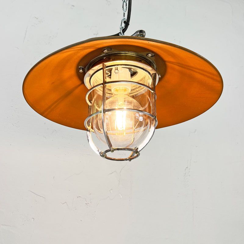 Rusted Explosion Proof Industrial Cage Lights photo vinterior