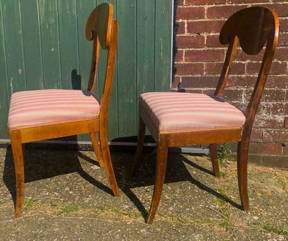 Swedish Biedermeier Dining Chairs Set Of 2 Flame Golden Birch Honey Colour 1800s photo for sale