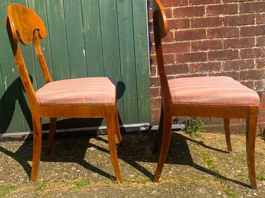 Swedish Biedermeier Dining Chairs Set Of 2 Flame Golden Birch Honey Colour 1800s photo Furniture