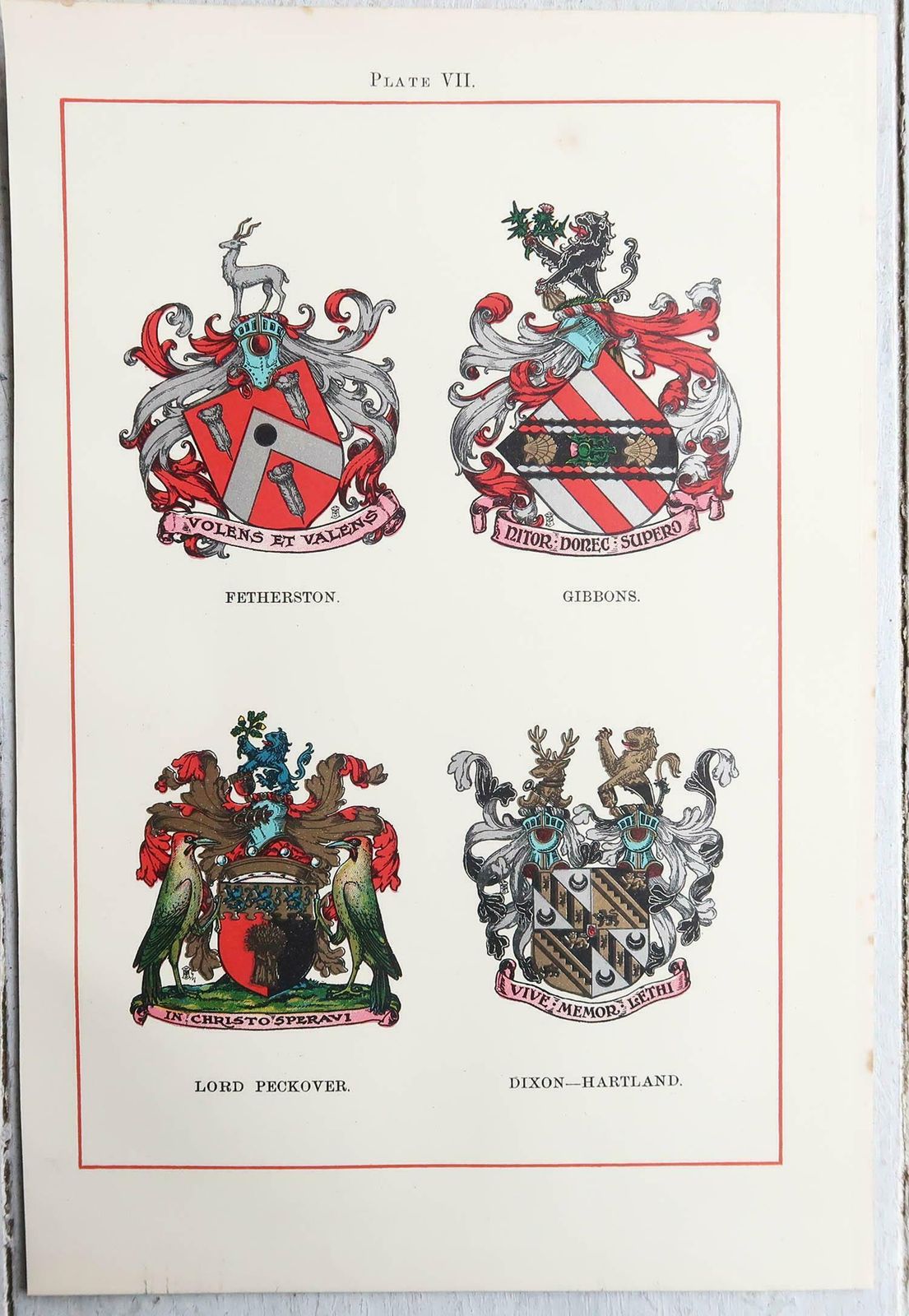 Set Of 12 Antique Prints Of English Family Coats Of Arms. C.1900 photo vintage