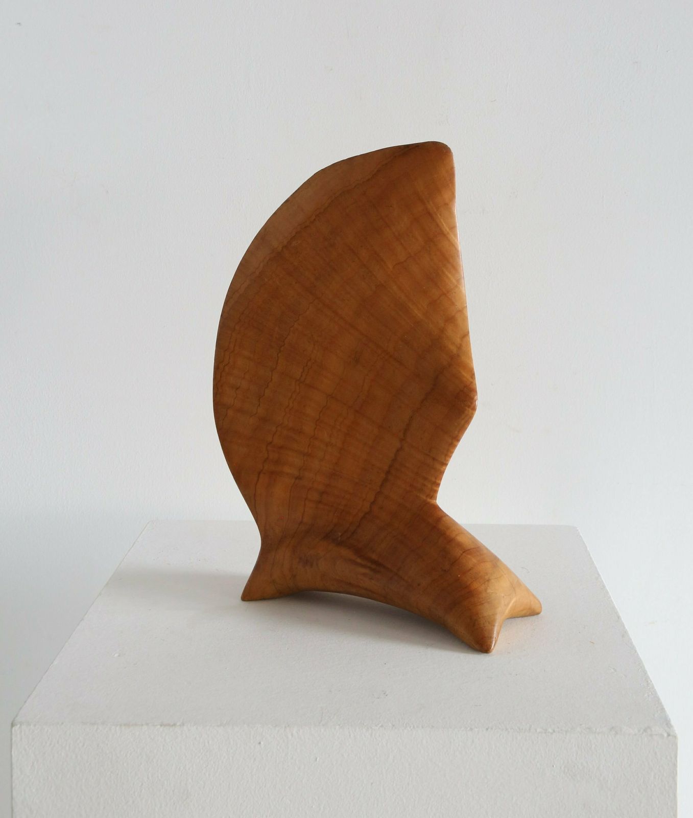 Hardwood Sculpture, 1960s, Vintage photo furniture