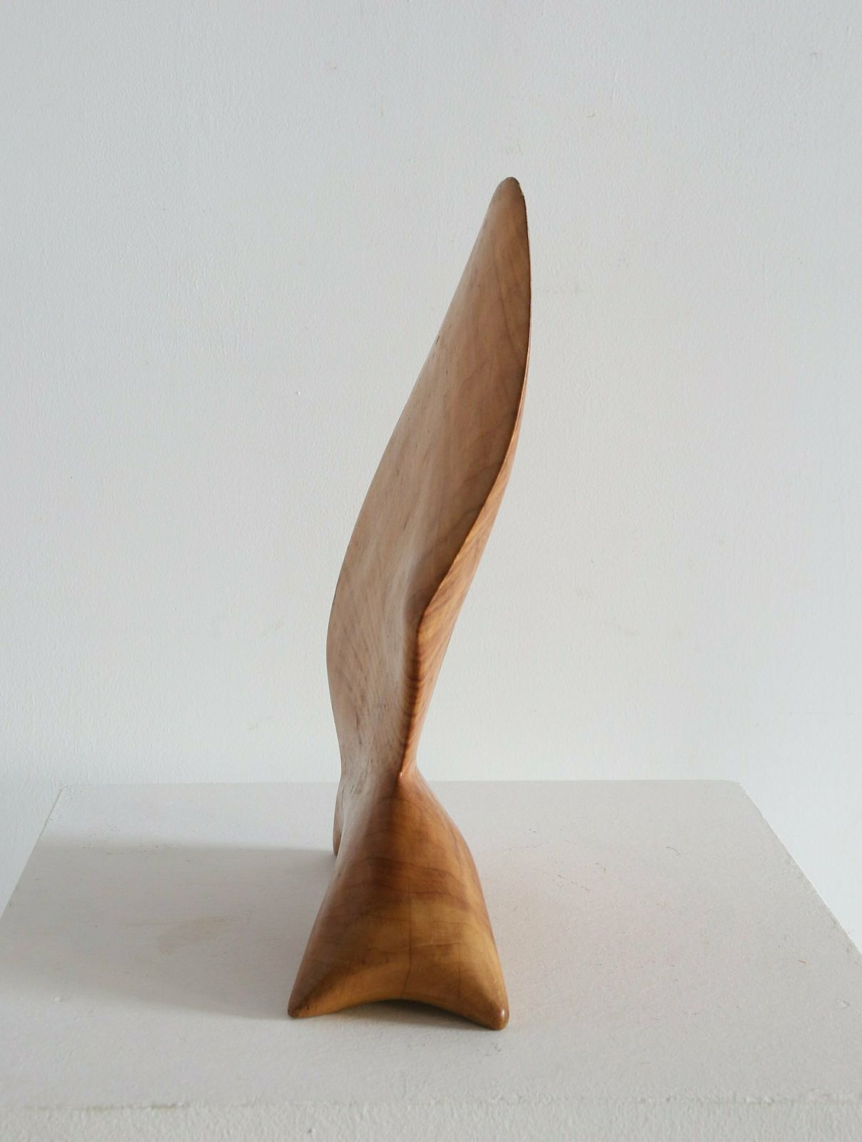 Hardwood Sculpture, 1960s, Vintage photo Art