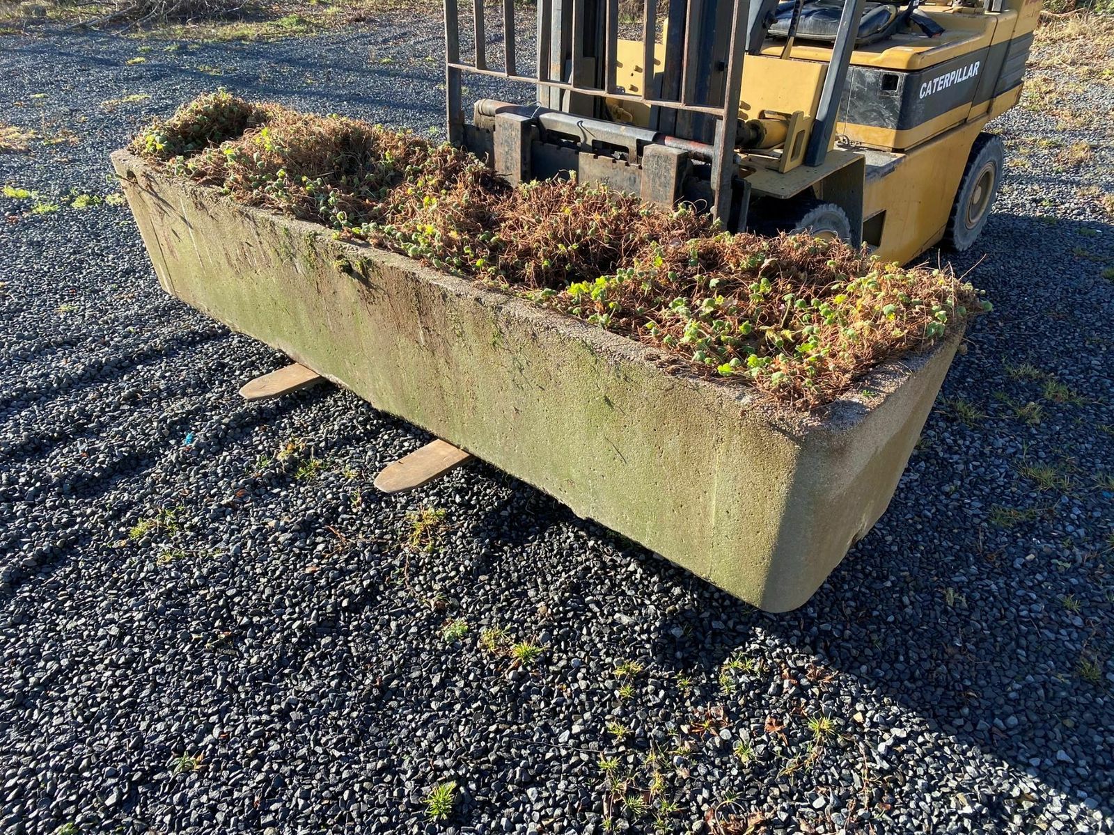 Large Scale 1970s Concrete Planter Trough In The Manner Of Willy Guhl photo for sale