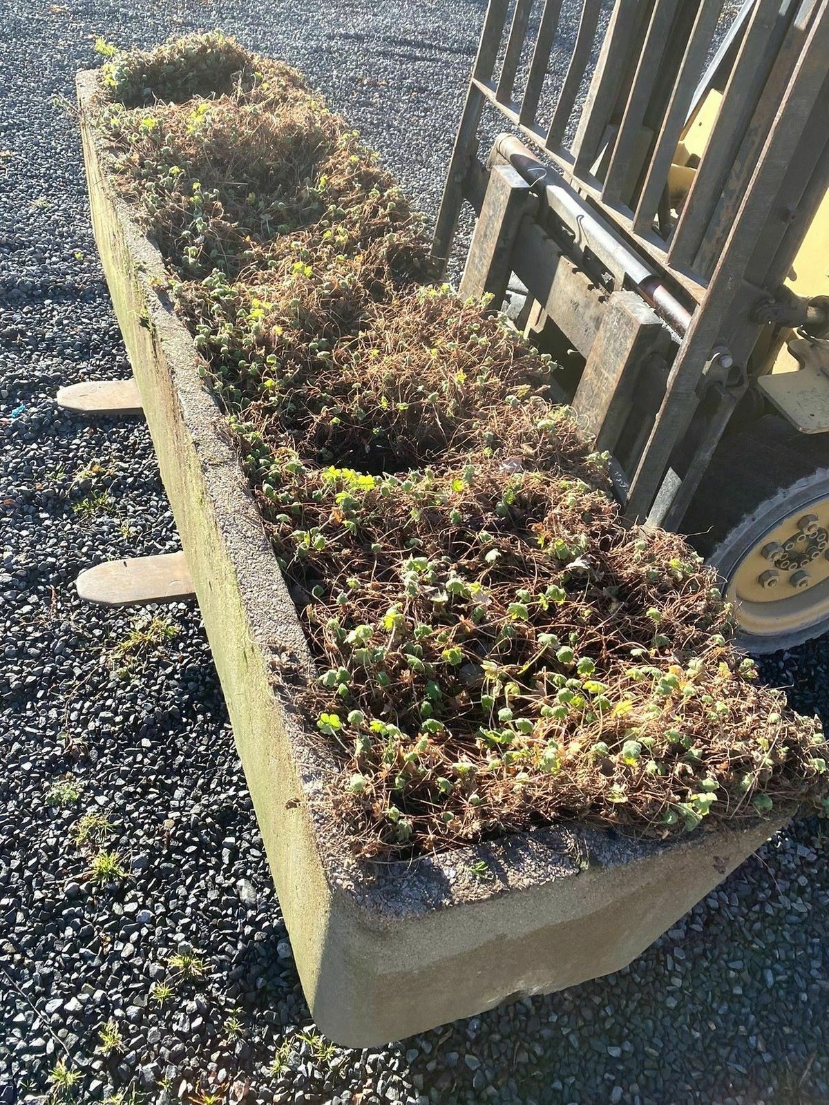 Large Scale 1970s Concrete Planter Trough In The Manner Of Willy Guhl photo vinterior