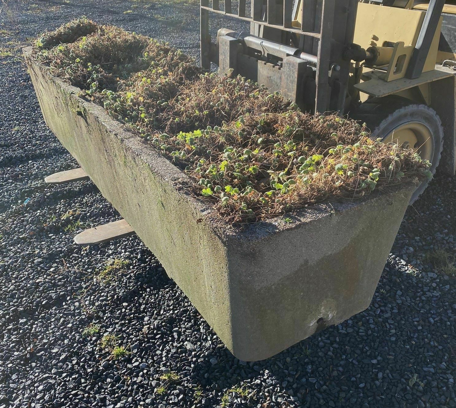 Large Scale 1970s Concrete Planter Trough In The Manner Of Willy Guhl photo vintage