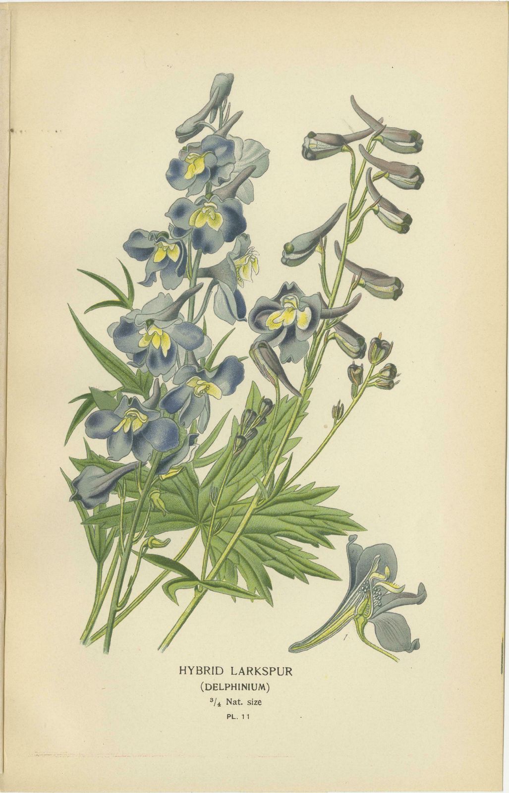 Botanical Elegance: A Triptych Of Garden And Greenhouse Splendors, 1896 photo Art