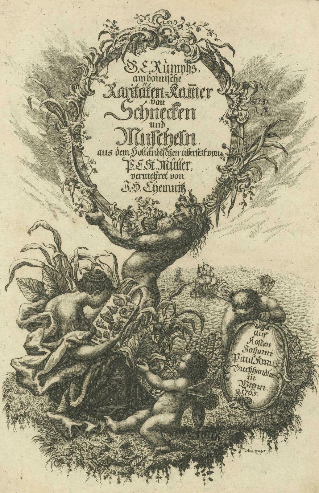 Rare German Frontispiece Of Rumphius Cabinet Of Curiosities, 1765 photo furniture