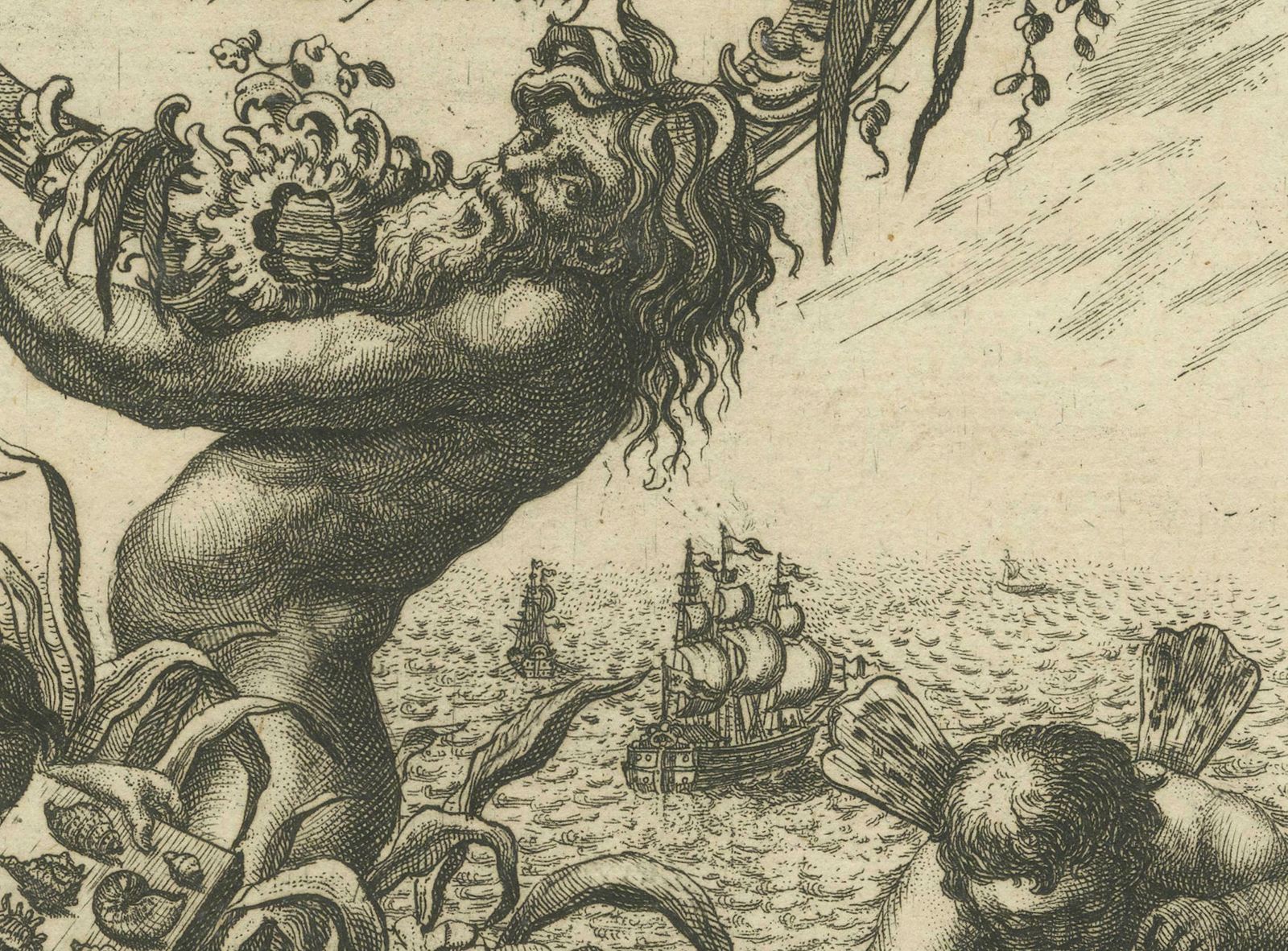 Rare German Frontispiece Of Rumphius Cabinet Of Curiosities, 1765 photo Art