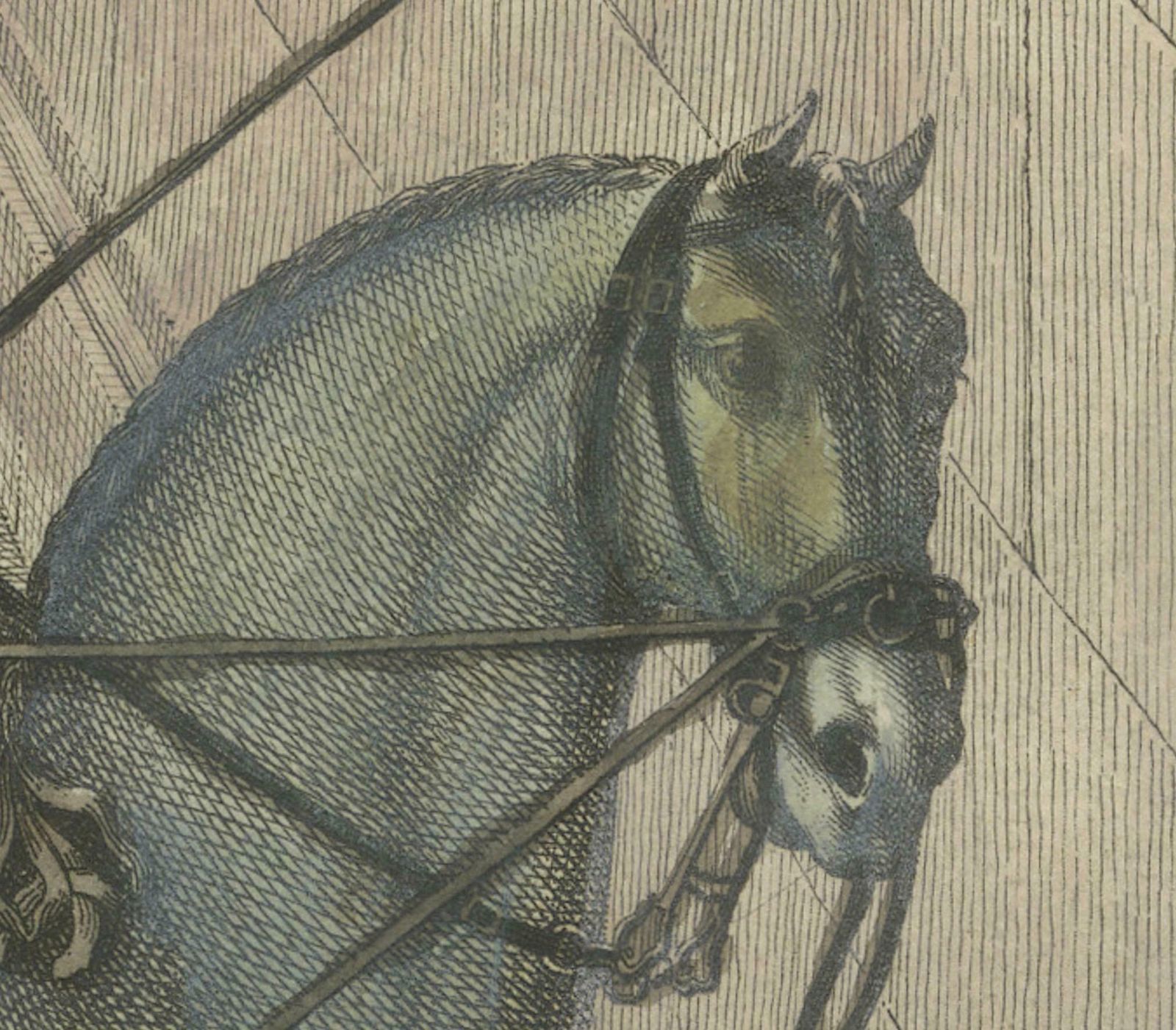 Antique Handpainted Equestrian Print From The Renowned Art Of Horsemanship, 1790 photo vinterior