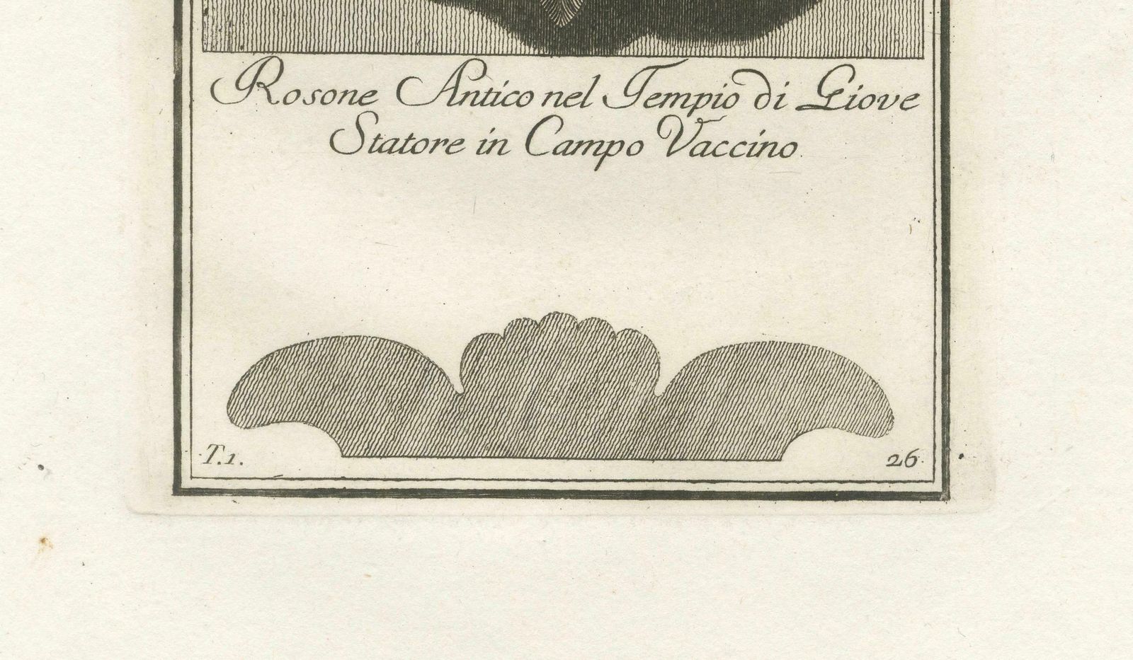 Original Antique Roman Rosette Engraving #26, Campo Vaccino photo for sale