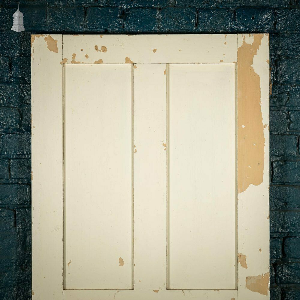 Pine Panelled Door, White Painted photo furniture