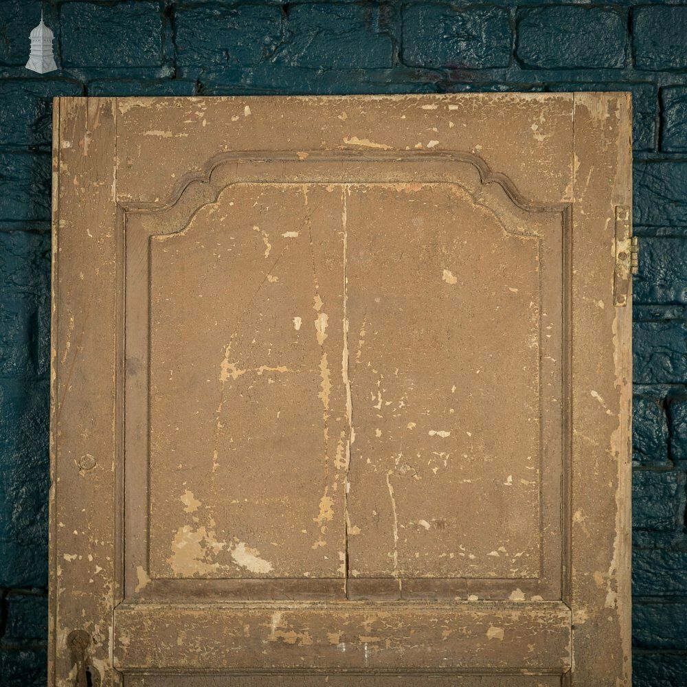 French Cupboard Door, 18th C Moulded 2 Panel Pine Door With Distressed Painted Finish photo furniture