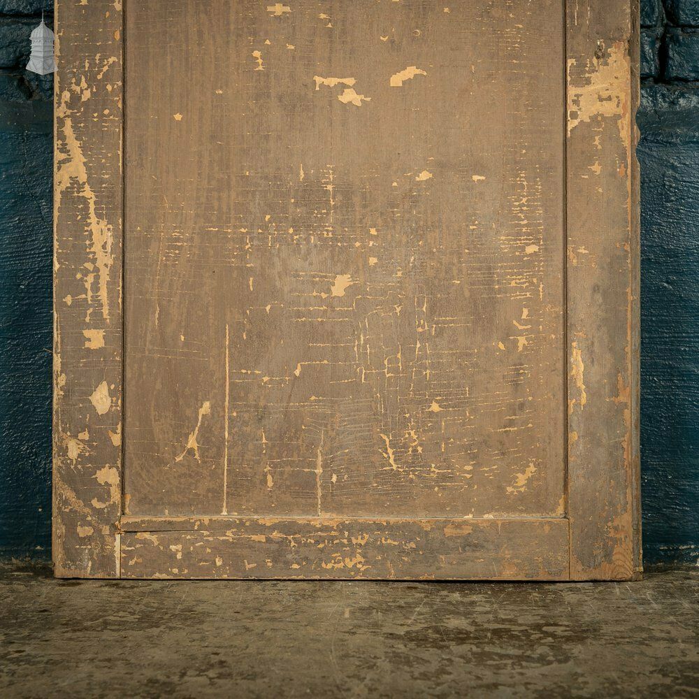 Home Fixtures French Cupboard Door, 18th C Moulded 2 Panel Pine Door With Distressed Painted Finish photo