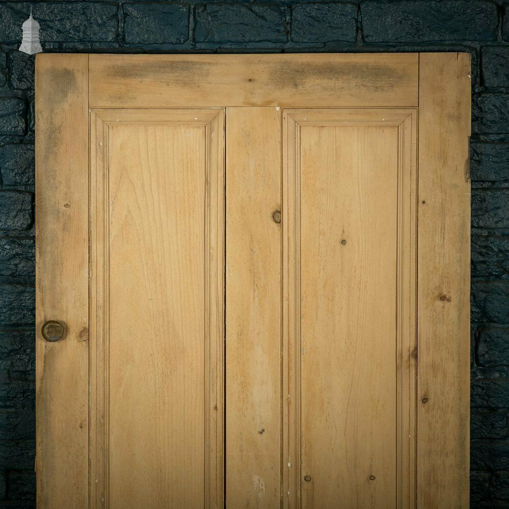 Pine Panelled Door, Victorian 2 Panel Cupboard Door photo furniture