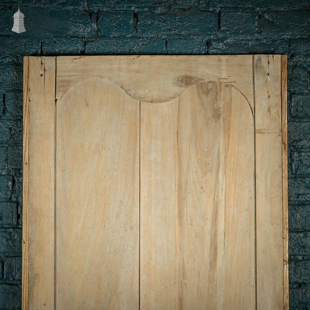 Pine Panelled Door, 19th C French, 2 Moulded Panels photo for sale