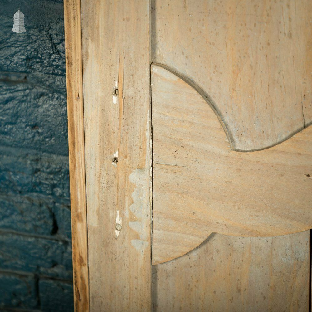 Pine Panelled Door, 19th C French, 2 Moulded Panels photo vintage