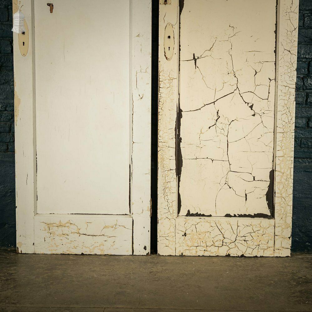 Pine Panelled Doors Pair Of White Painted Doors photo vintage