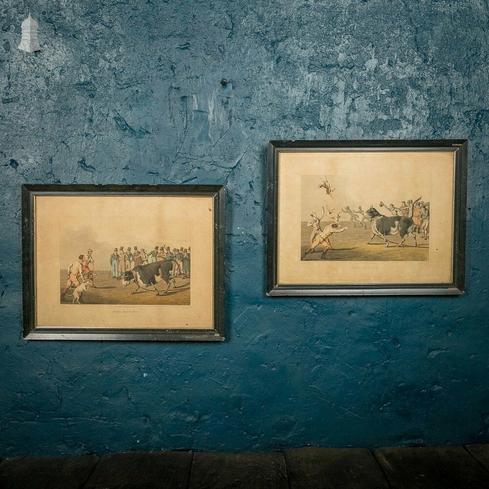 Bull Baiting Etchings, Pair Of Colored Etchings