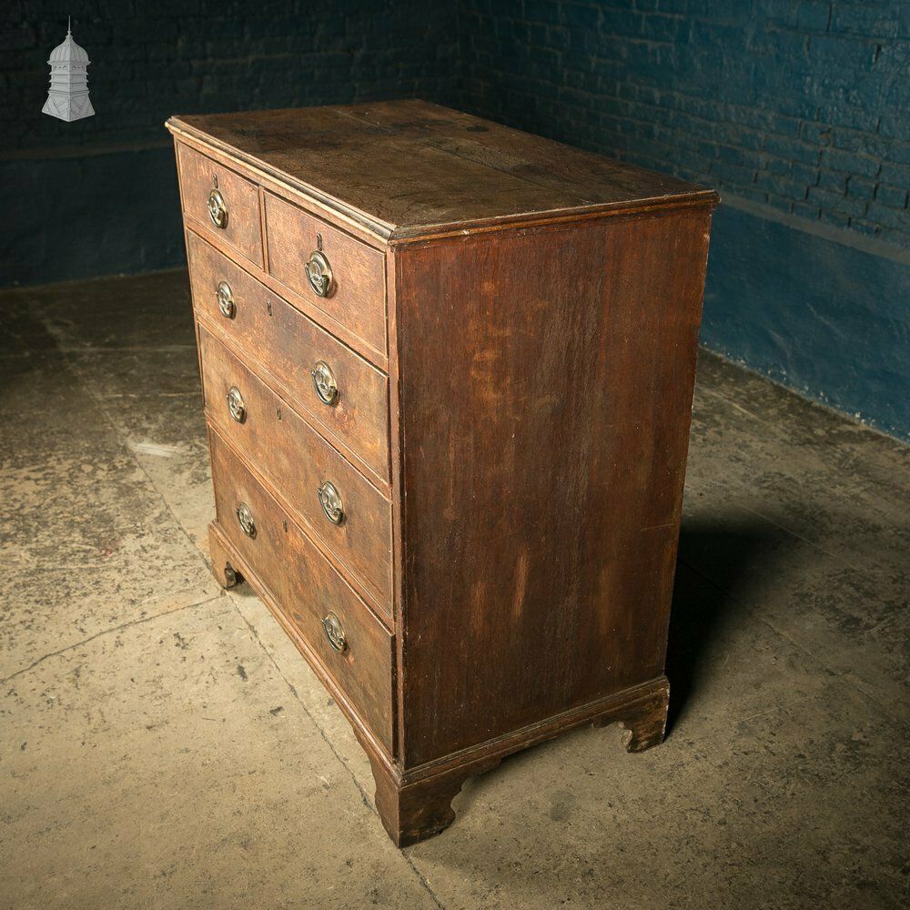 Chest Of Drawers, George III, Oak 2 Over 3 Drawer With Brass Sphinx Pull Handles photo for sale