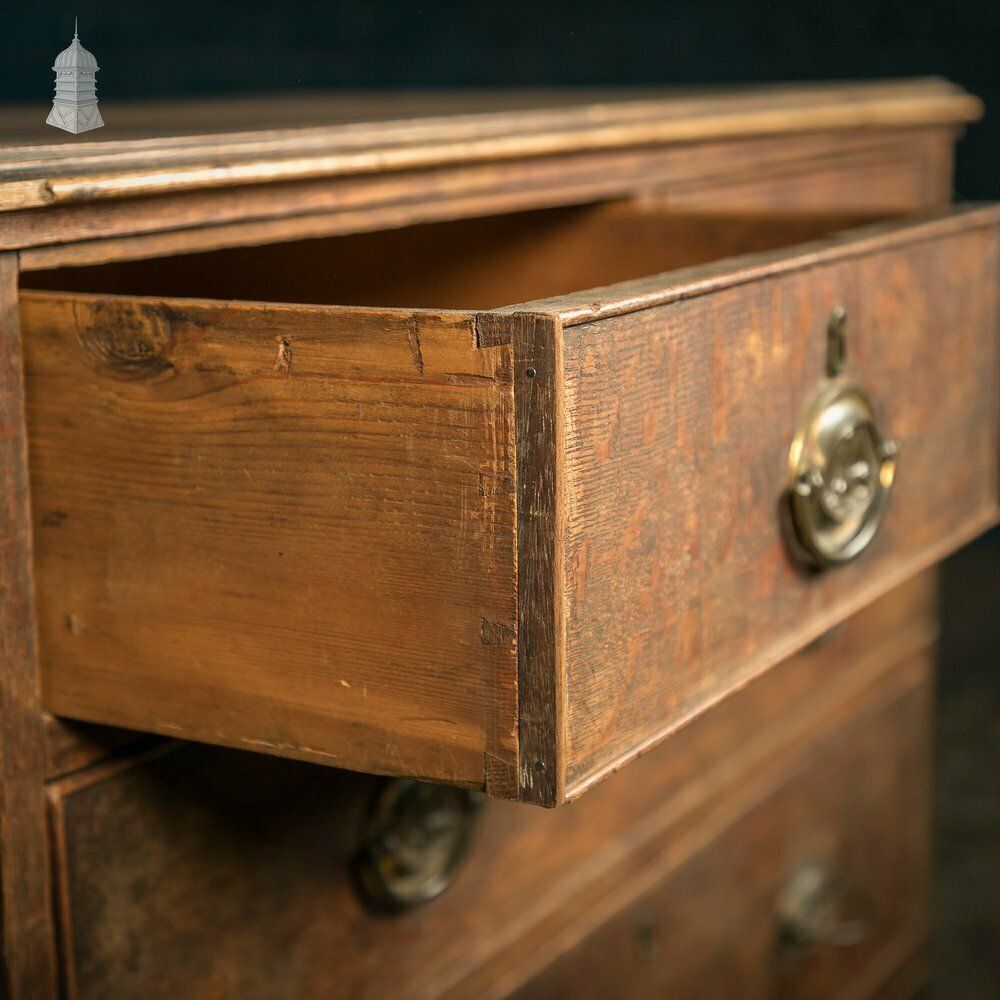 photo for sale Chest Of Drawers, George III, Oak 2 Over 3 Drawer With Brass Sphinx Pull Handles
