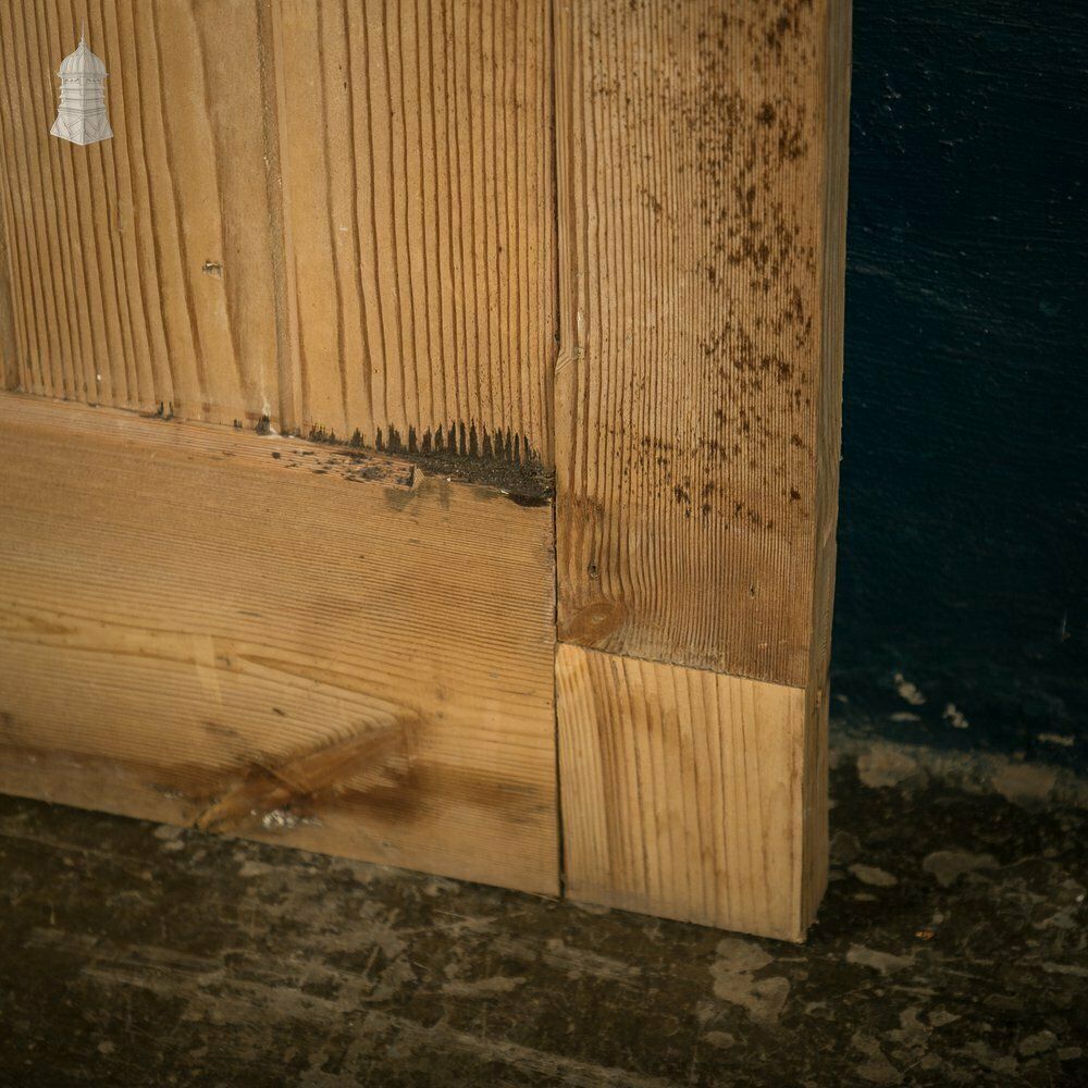 photo for sale Pine Paneled Door, 2 Panel Door With Mouled Corners