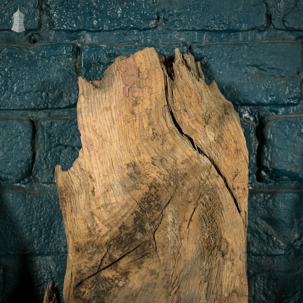 Distressed Oak Pilings, Weathered Natural Finish Batch Of 39 – 11 Square Metres photo 4440.0