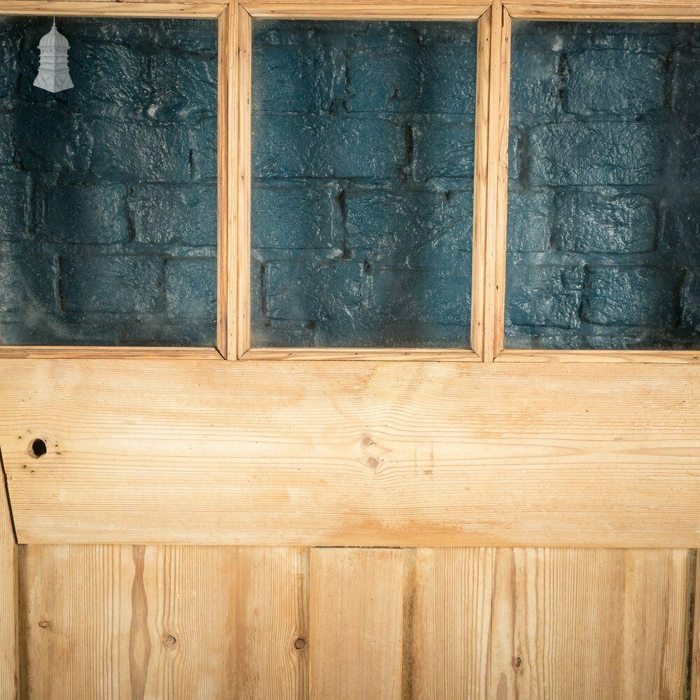 Half Glazed Door, Victorian Paneled Pine photo vintage