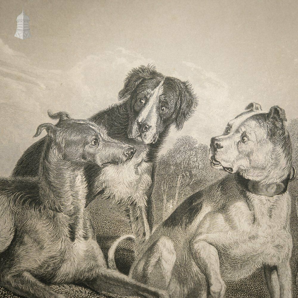 The Braggart’ Original 19th C Richard Parr Engraving After Edwin Landseer Published 1833 photo furniture