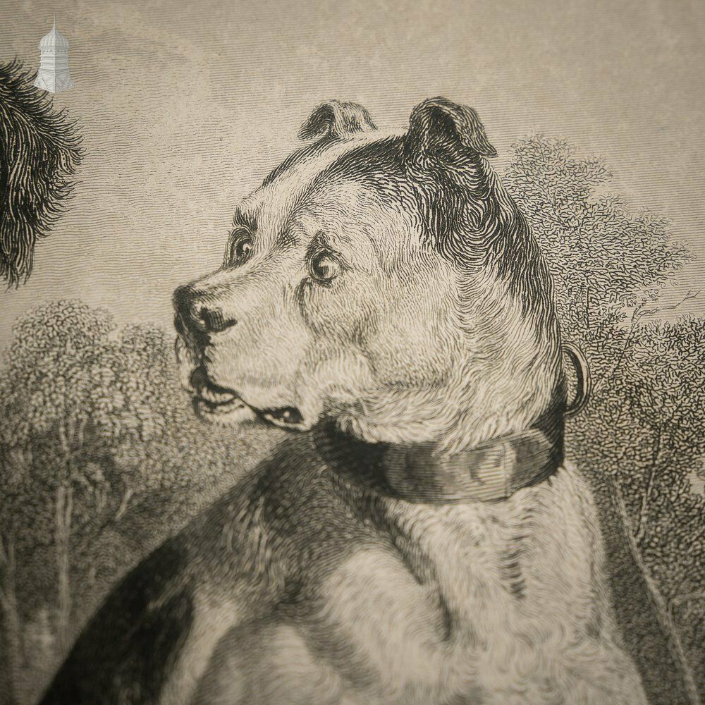 The Braggart’ Original 19th C Richard Parr Engraving After Edwin Landseer Published 1833 photo for sale