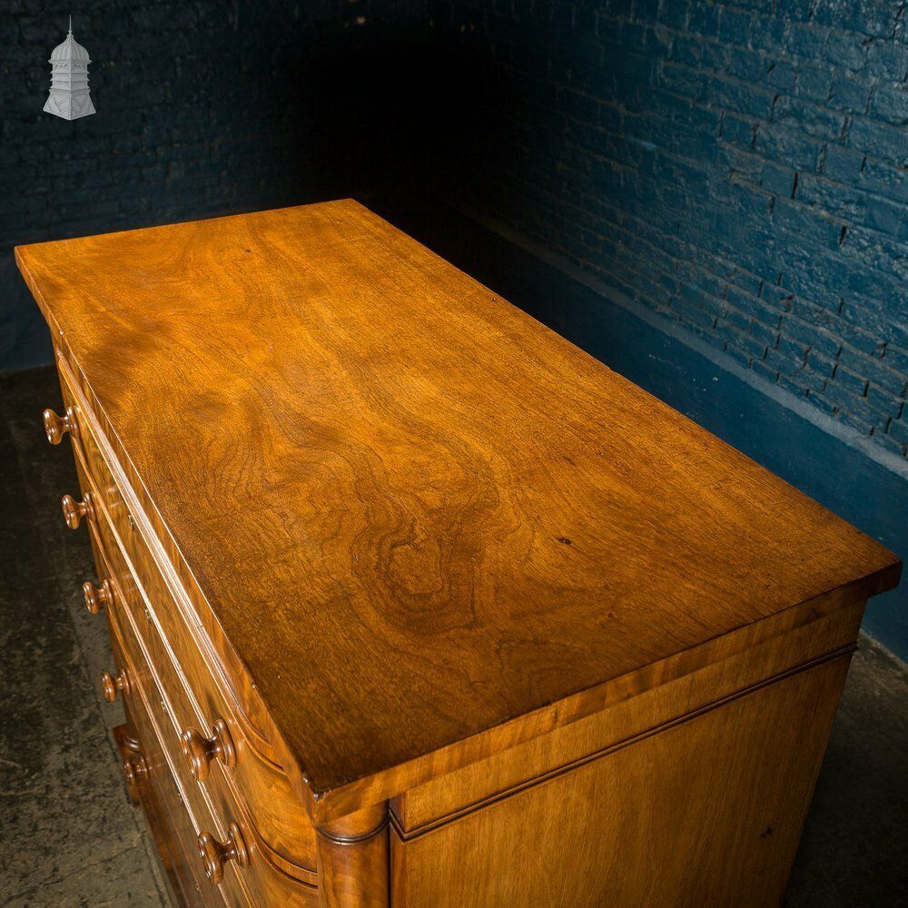 Furniture Impressive 19th C Bow Fronted Flanked Column Mahogany Chest Of Drawers photo