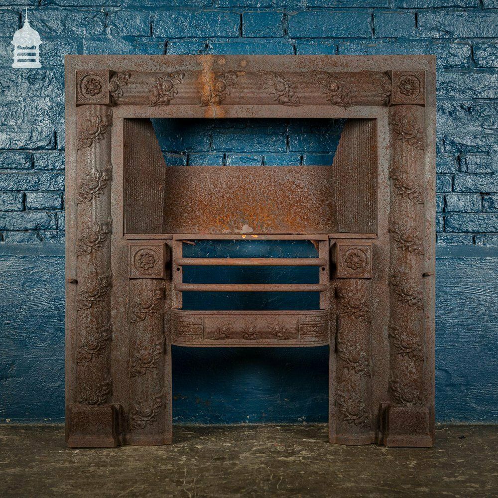 19th C Carron Company Cast Iron Fireplace Insert photo vintage