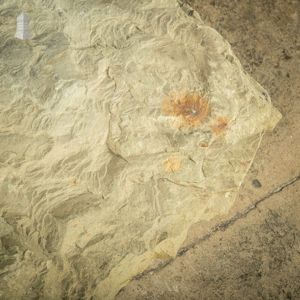 Riven Flagstone With Weathered Face And Flat Cut Back – 89cm X 55cm photo vinterior