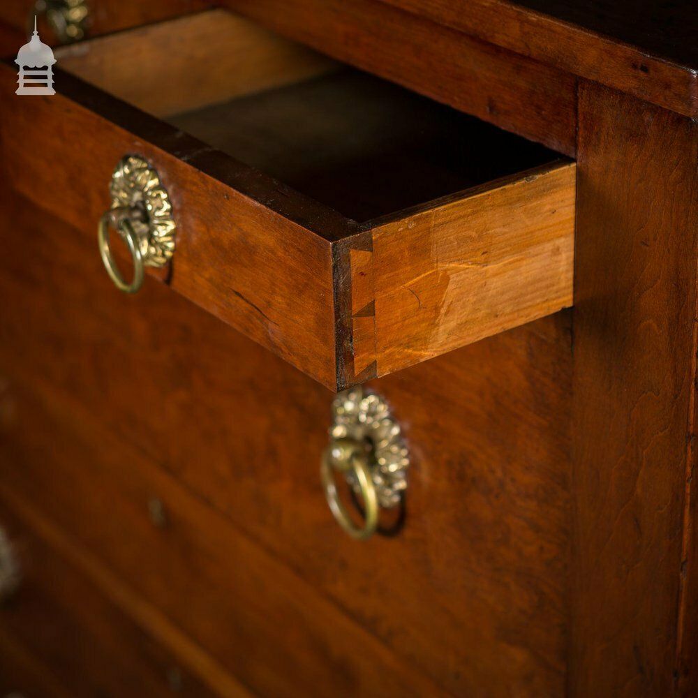 19th C Swedish Fruitwood Chest Of Drawers With Column Base And Brass Pulls photo 1740.0